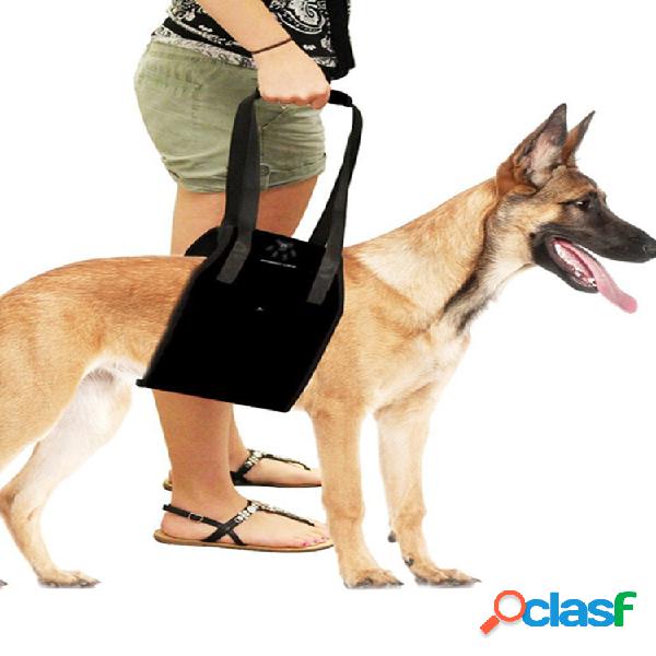Arreios de apoio para levantamento de cães para