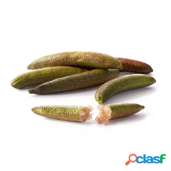 20 Pcs Sementes De Frutas Tropicais Dedo Limes Citrus