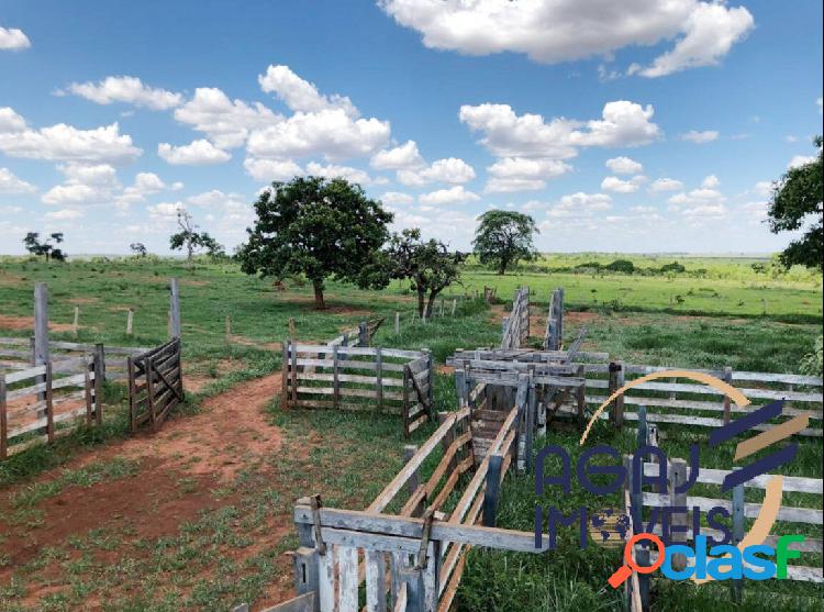 FAZENDA NO PRATA-MG | 55 ALQ