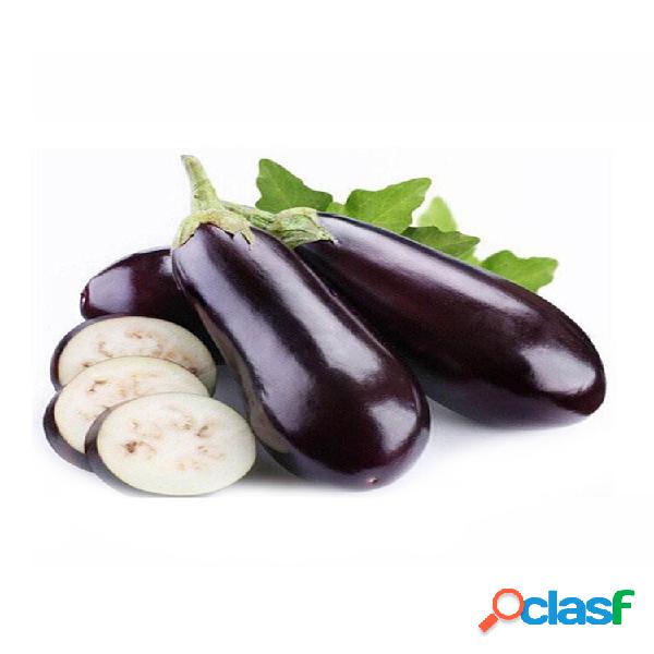 30 PCS / Bolsa De Legumes Preta De Berinjela Longa sementes