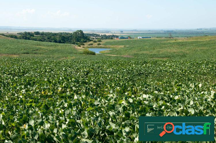 Área de 583 em Pantano Grande-RS