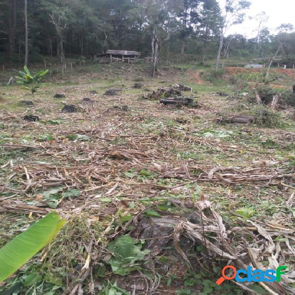Chácara - Venda - Santo Antônio do Pinhal - SP - Fazenda