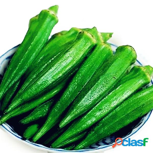 Egrow 20 Unidades de Polpa de Okra sementes Orgânica Não