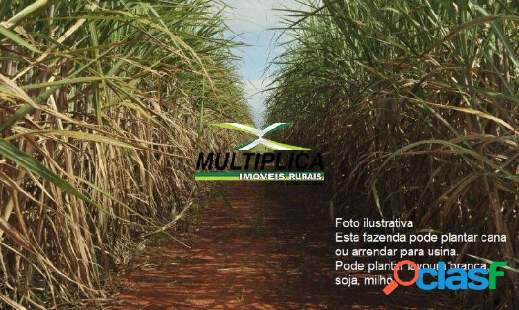 Fazenda Monte Alegre de Minas MG /Agricultura, Pecuária/