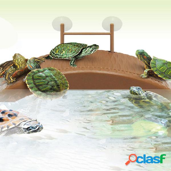 Aquarium Tank Turtle Reptile Basking Terrace Ilha Plataforma