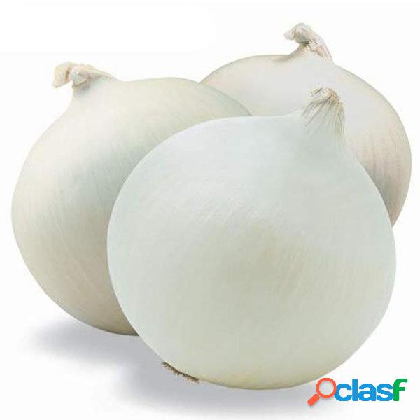 Egrow 200 Unidades / pacote Sementes De Cebola Branca