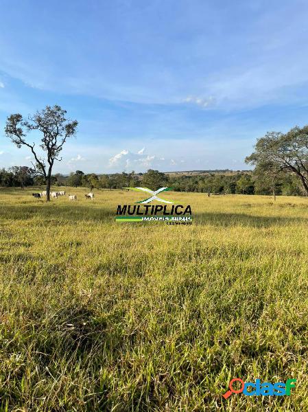 Fazenda Prata MG / Agricultura Pecuária / 145 ha / R$