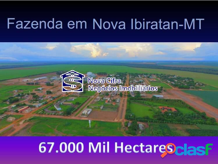 Fazenda-67.000 hectares - Nova Ubiratan/MT