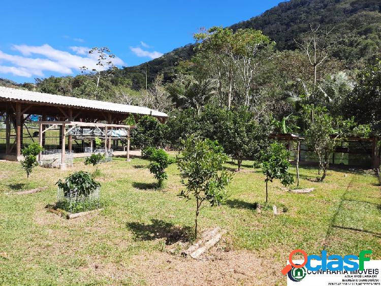 Fazenda - Venda - Camboriú - SC - VILA CONCEIÇÃO