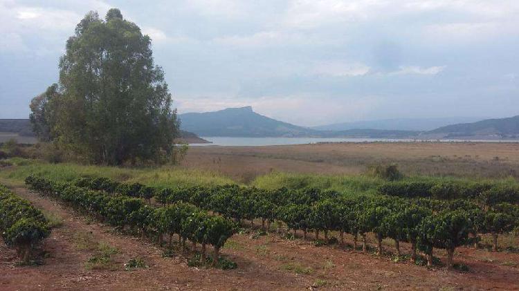 Fazenda, Zona Rural, 0 Quarto