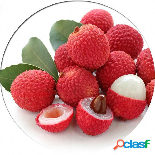 Egrow 8 Pçs / saco Litchi Sementes de Verão Delicioso