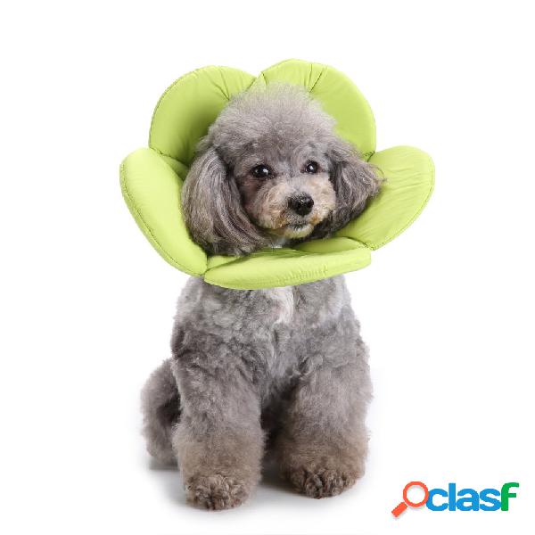 Esponja Macia verde Flor Forma Dog Cat Collar Pet Círculo