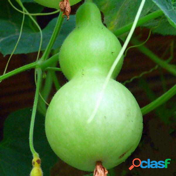 Egrow 20 pçs / saco Sementes de Cabaça Gourd Anual Jardim