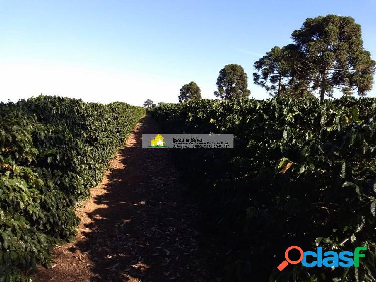 Sítio de café com ótimo acesso à venda em São Pedro da