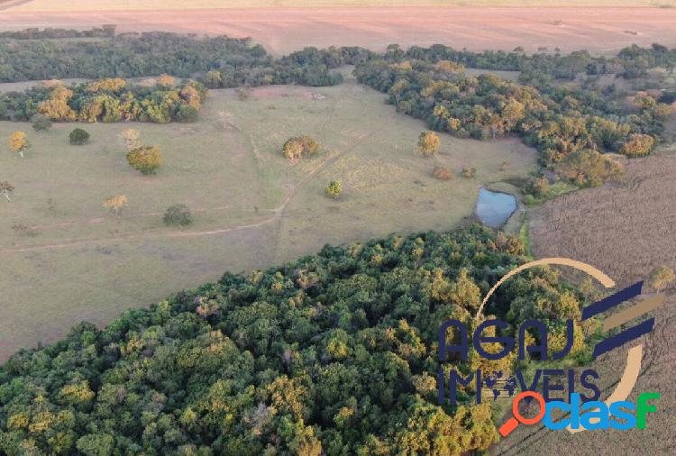 FAZENDA EM BELA VISTA DE GOIÁS-GO | 14 ALQ