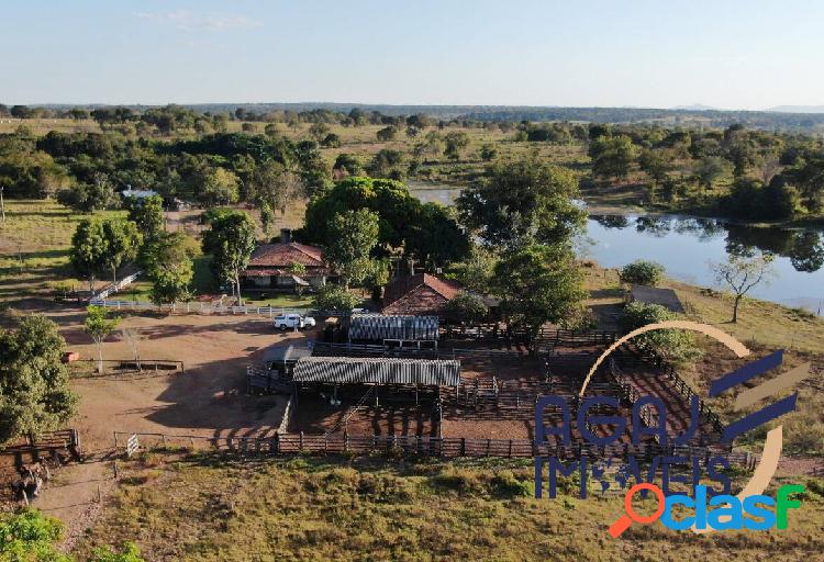 FAZENDA EM CAMPOS VERDES-GO | 300 ALQ