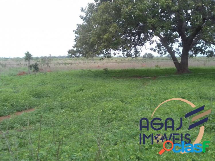 FAZENDA EM FLORESTA DO ARAGUAIA-PA | 310 ALQ