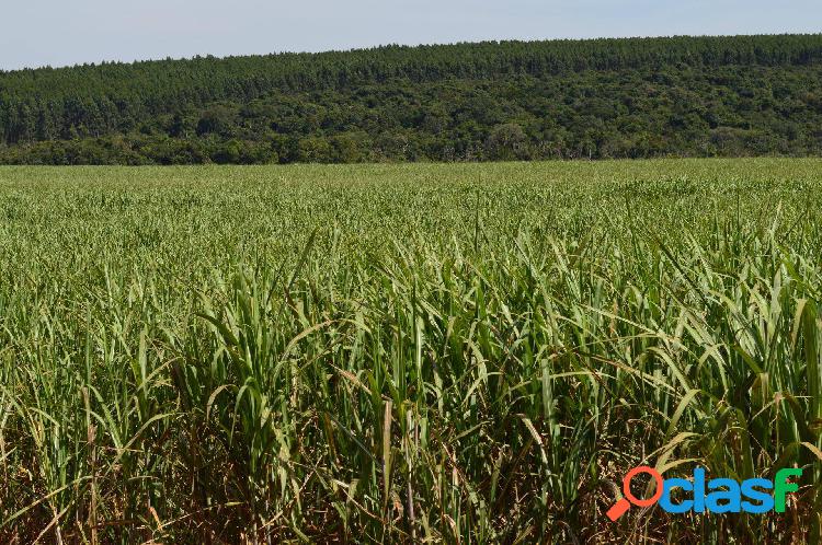 Vende-se fazenda de 40,5 alqueirão em Carnerinho, MG