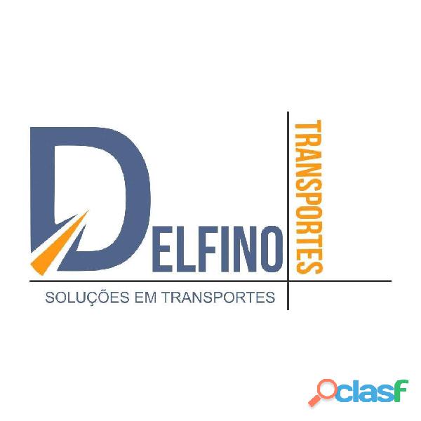 Delfino Transporte Escolar