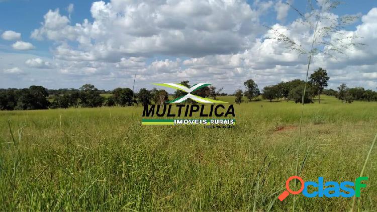 Fazenda Carneirinho MG, Agricultura Pecuária, 636 ha, R$