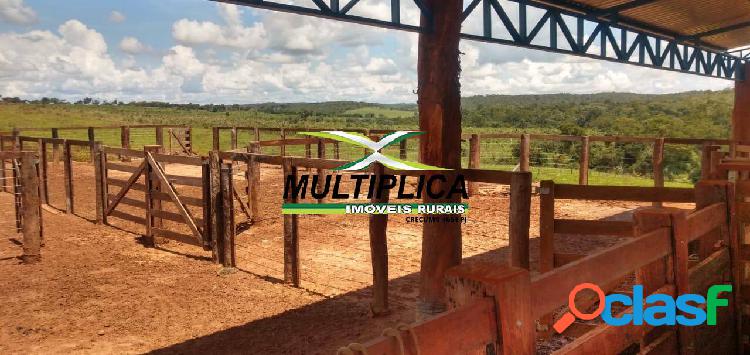 Fazenda Palmas TO, Agricultura e Pecuária, 648 ha, R$