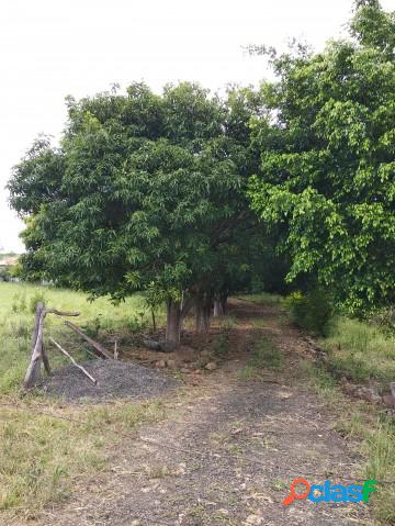 Chxc3xa1cara - Venda - Joaquim Tavora - PA - Rural