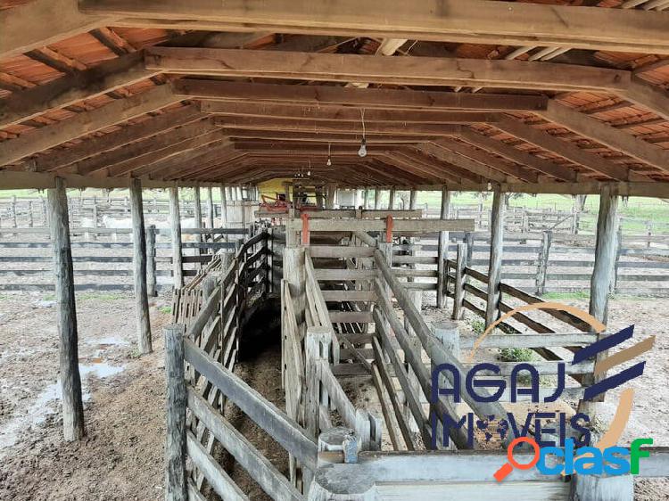 FAZENDA EM SANTO ANTONIO DO LEVERGER-MT | 713 ALQ