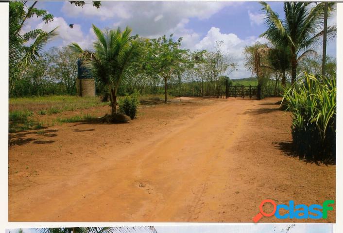 Fazenda - Venda - CORAxc3x87xc3x83O DE MARIA - BA - coracao
