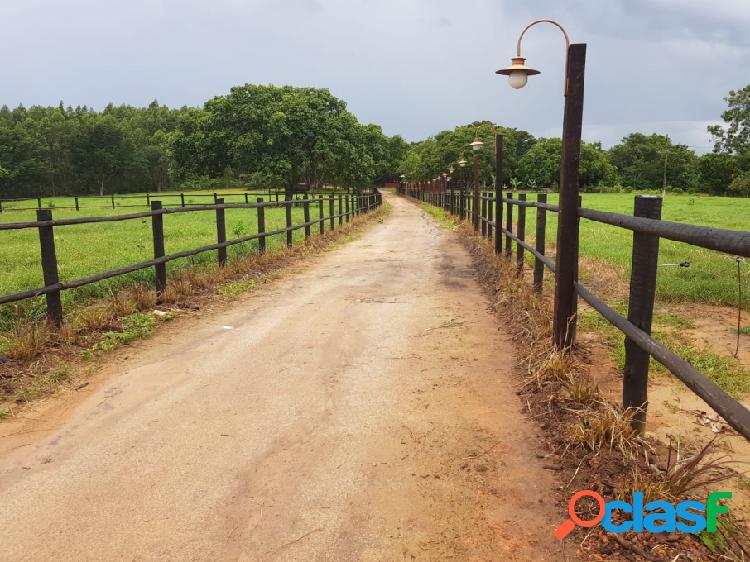 Fazenda - Venda - Sete Lagoas - MG - Inhaxc3xbama