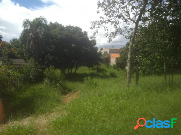 Terreno - Venda - Taubatxc3xa9 - SP - Chxc3xa1cara Ingrid