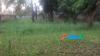 Venta de Terreno en Colinas de Guataparo