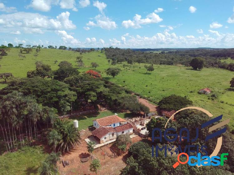 FAZENDA EM HIDROLÂNDIA-GO | 25 ALQUEIRES | PECUÁRIA