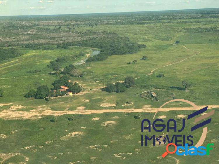 FAZENDA EM POCONÉ-MT | 620 ALQUEIRES | PECUÁRIA