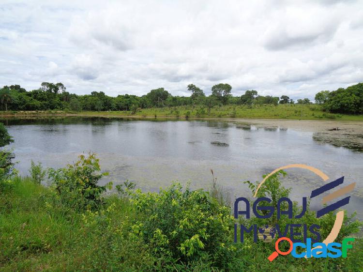 FAZENDA EM PORTO ESPERIDIÃO-MT | 290 ALQUEIRES | PECUÁRIA