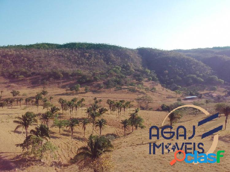 FAZENDA EM COCALZINHO DE GOIÁS-GO | 111,5 ALQUEIRES |
