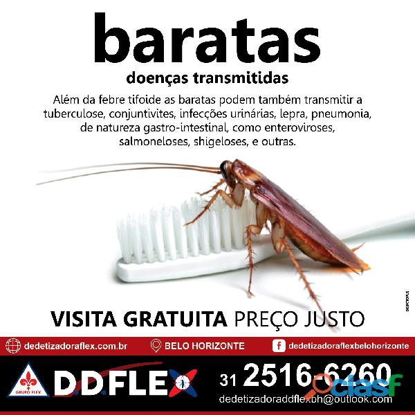 Dedetização de baratas em BH