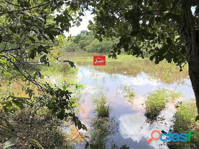 Fazenda dupla aptidão em Monte Alegre do Piauí, próximo