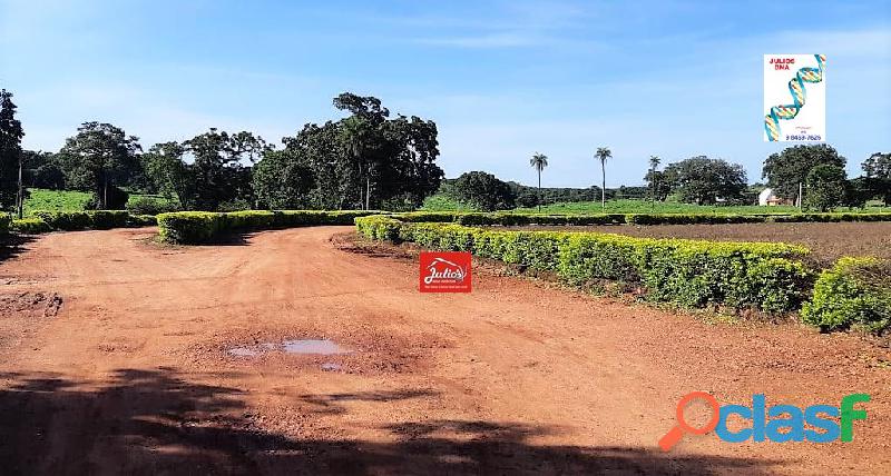 Fazenda dupla aptidão em Almas Tocantins área 5.160