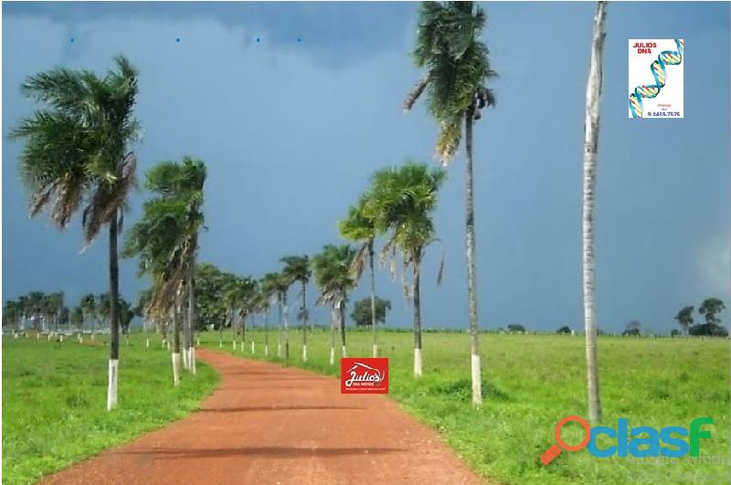 Fazenda dupla aptidão em Araguapaz Goiás com área 1.100