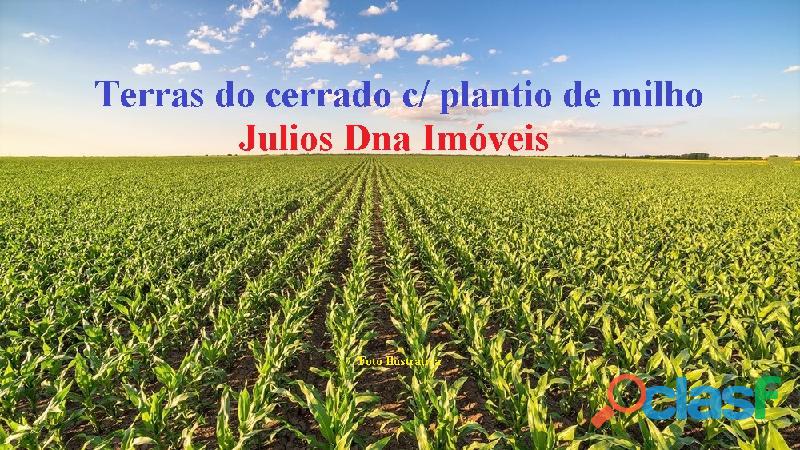 Área a venda para plantio de grãos no estado do Piauí /