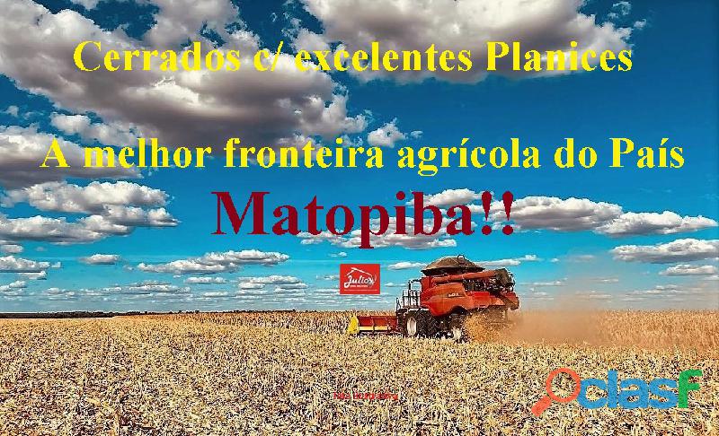 Áreas para grãos a venda no estado do Tocantins região do