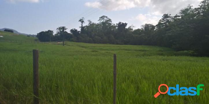 Fazenda De 398 Alqueires Sendo 220 De Pasto