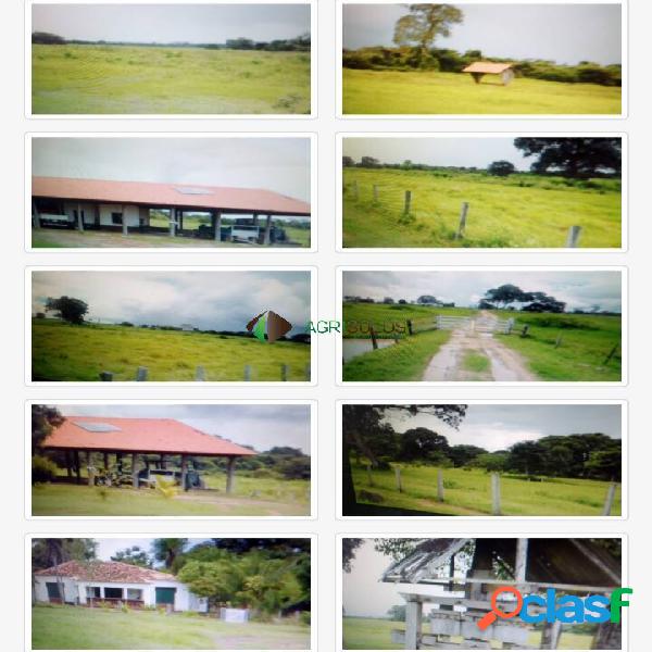 FAZ 88.000 HA MATO GROSSO OPORTUNIDADE