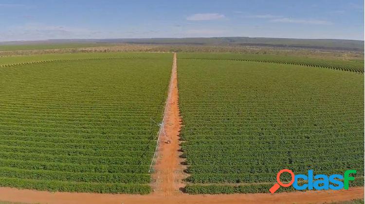 Fazenda com 5 quartos, 5000m², à venda - Serra Verde