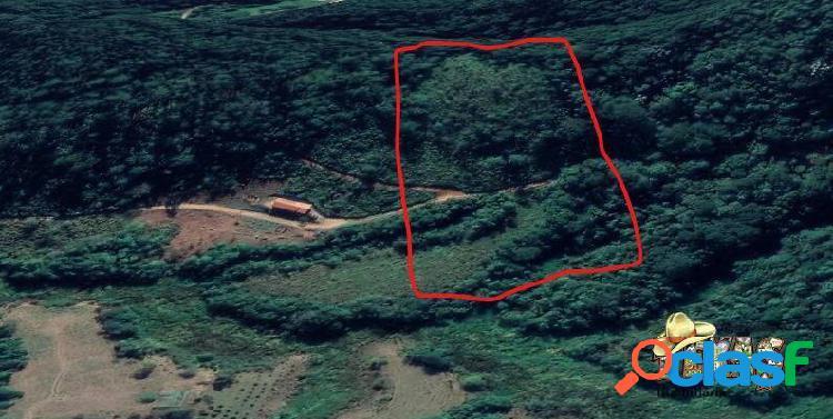 TERRENO MONTEIRO LOBATO