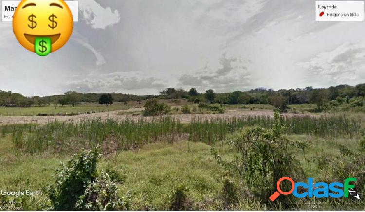 EN VENTA 50 HECTAREAS PLANAS SOBRE CARRETERA EN VERACRUZ