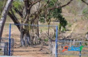 Finca La Culata 580 has en Tinaquillo Cojedes $195.500