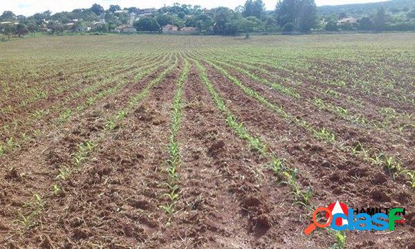 Magnífica Fazenda para negociação em Lagoa Santa
