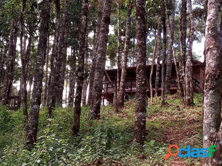 SITIO NA DIVISA DE CAMPOS DO JORDAO COM PIRANGUÇu PROXIMO A