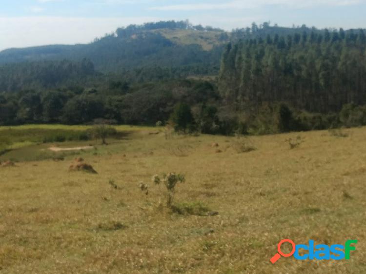 SÍTIO COM 150.000m² - PRÓXIMO AO ASFALTO - JOAQUIM